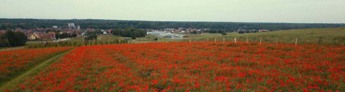 Niederroedern