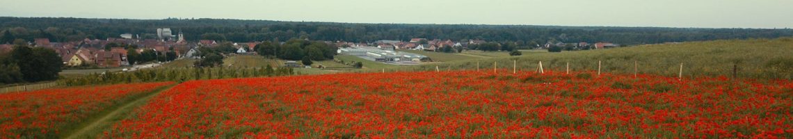 Niederroedern